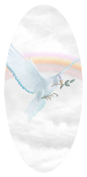 Dove Clouds White